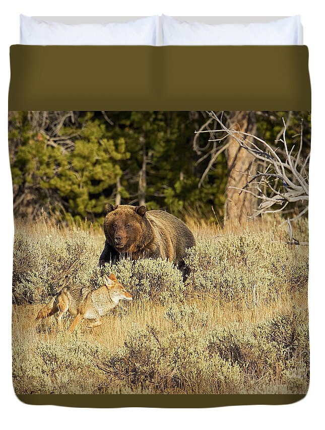 Grizzly Bear Duvet Cover featuring the photograph Guarding The Prize by Aaron Whittemore