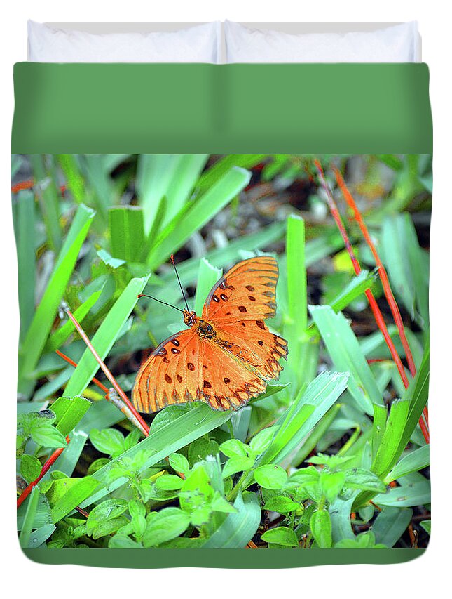 Modern Duvet Cover featuring the photograph Gulf Fritillary Butterfly by Ken Figurski