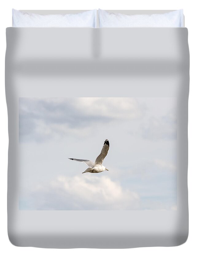 Gull Duvet Cover featuring the photograph Gull in Flight by Holden The Moment