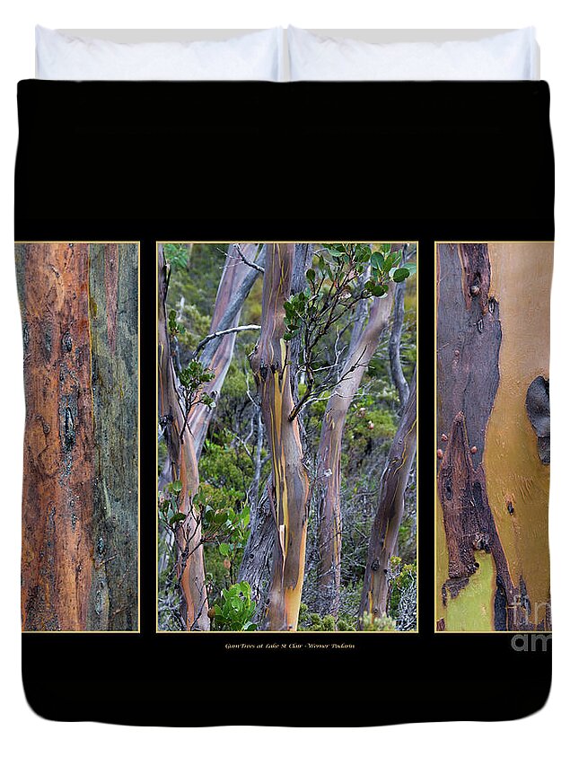 Australia Duvet Cover featuring the photograph Gum Trees at Lake St Clair by Werner Padarin