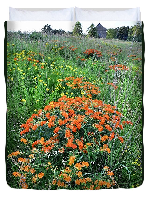 Illinois Duvet Cover featuring the photograph Hackmatack NWR Butterfly Weed by Ray Mathis