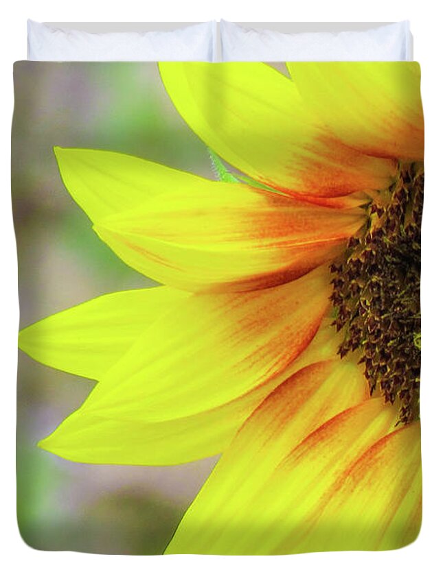 Flower Duvet Cover featuring the photograph Half Sunflower by Cesar Vieira