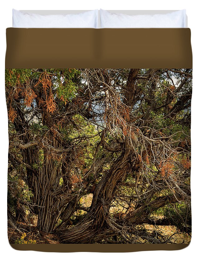 Nature Duvet Cover featuring the photograph Halloween Tree by Michael McKenney
