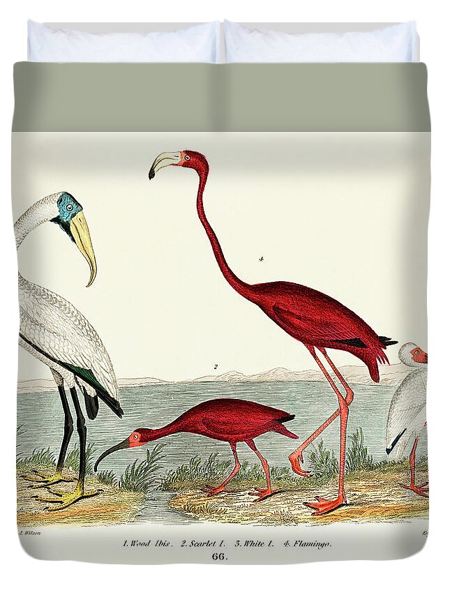 1843 Duvet Cover featuring the painting Handcolored wood ibis and scarlet flamingo by Vincent Monozlay