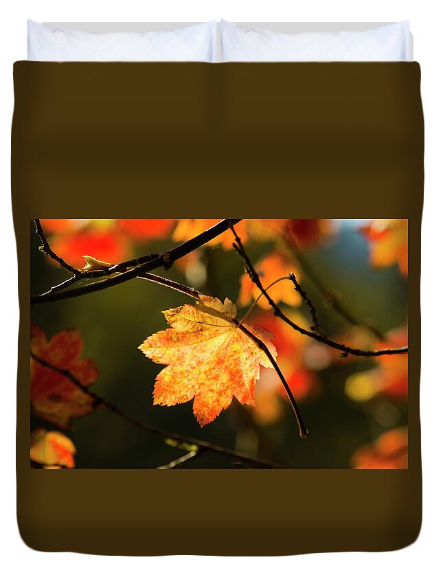 Photography Duvet Cover featuring the photograph Hang in there by Steven Clark
