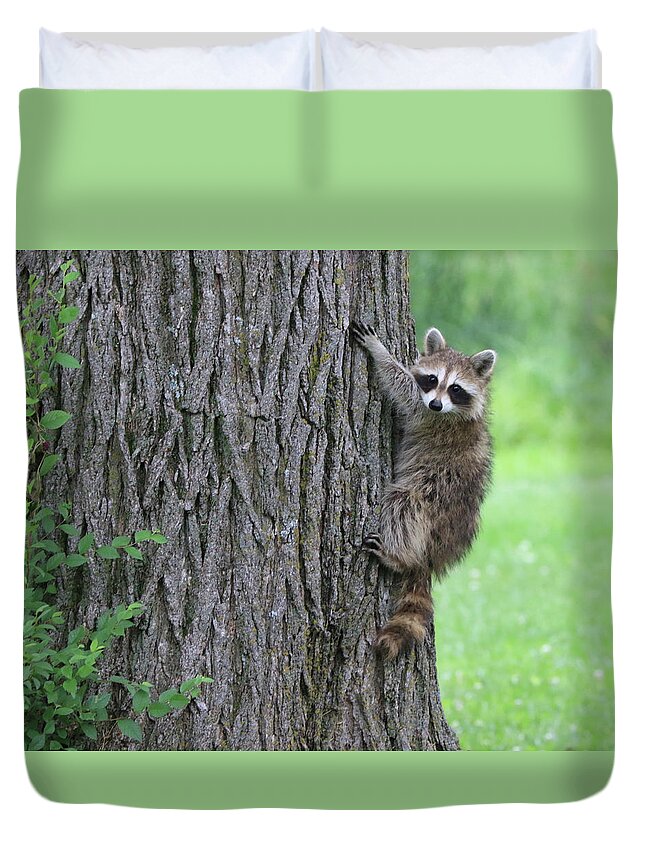 Baby Duvet Cover featuring the photograph Hang On by J Laughlin