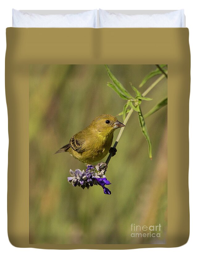 Goldfinch Duvet Cover featuring the photograph Hanging around with a Goldfinch by Ruth Jolly