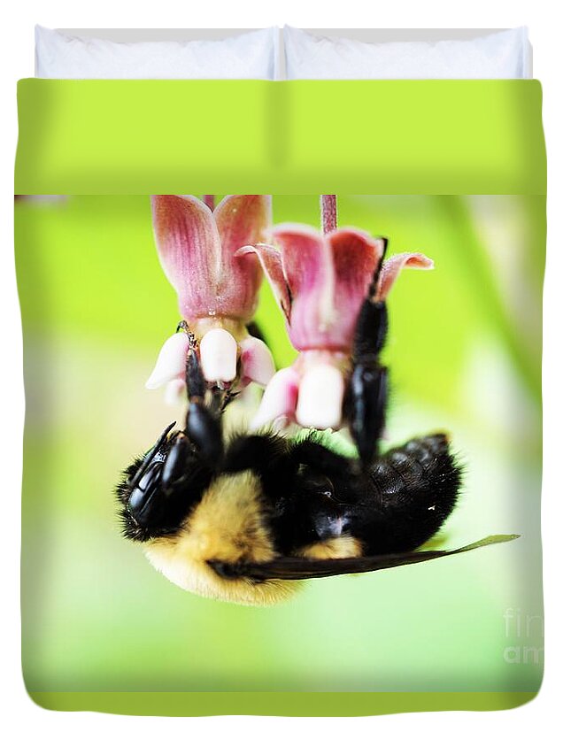 Bees Duvet Cover featuring the photograph Hanging in by Merle Grenz