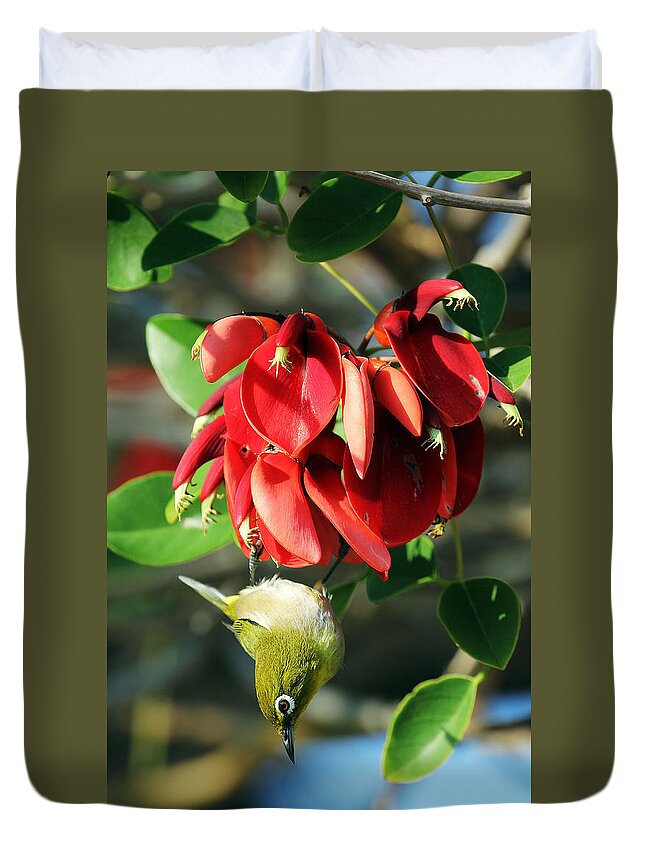 Hanging Japanese Duvet Cover featuring the photograph Hanging Japanese by Jennifer Robin