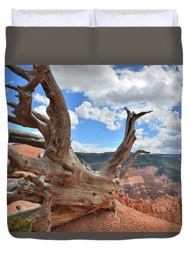 Bristlecone Pine Duvet Cover featuring the photograph Hanging On by Ray Mathis