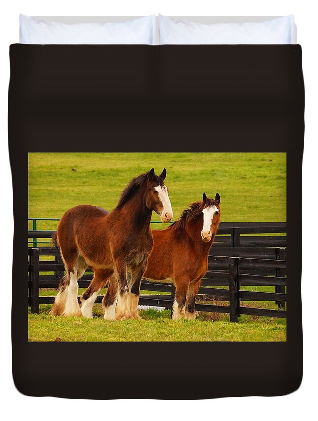 Horses Duvet Cover featuring the photograph Hanging With My Friend by Beth Collins