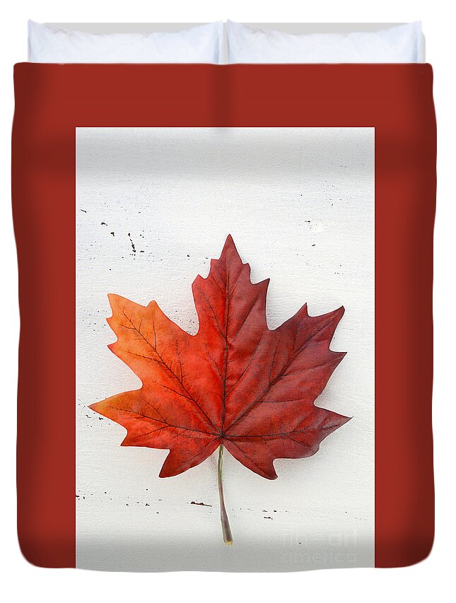  Celebrate Duvet Cover featuring the photograph Happy Canada Day red silk maple leaf by Milleflore Images