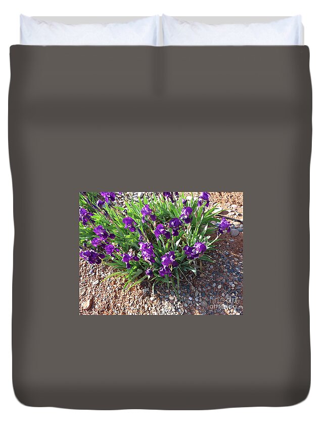 Sedona Duvet Cover featuring the photograph Happy Iris Blooming in Sedona by Mars Besso