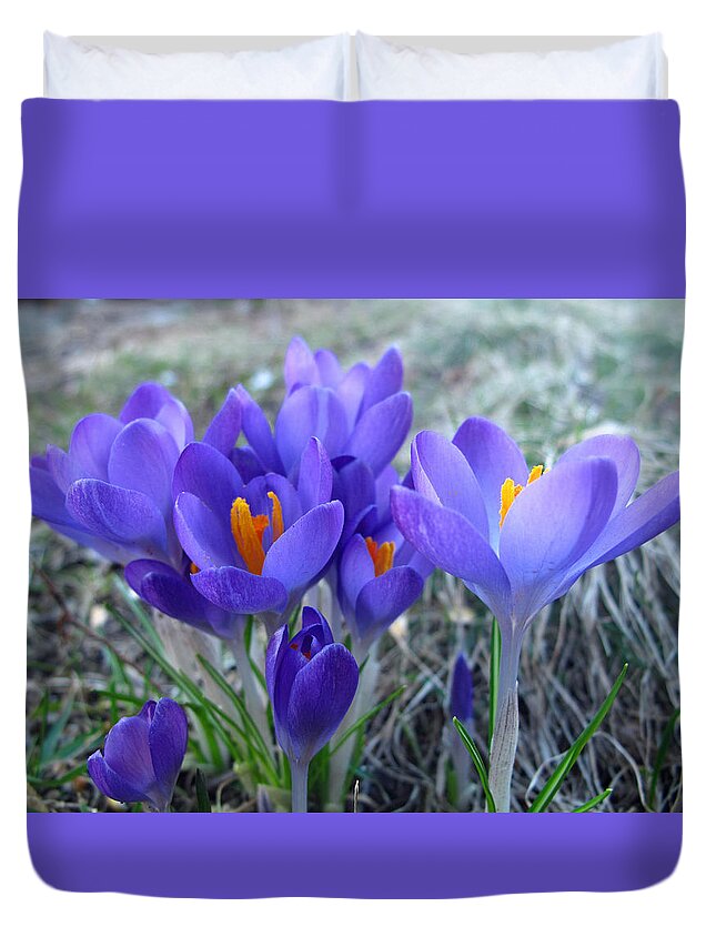 Floral Duvet Cover featuring the photograph Harbinger of Spring by Barbara McDevitt
