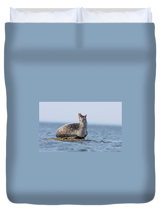  Harbour Duvet Cover featuring the photograph Harbour seal by Mircea Costina Photography