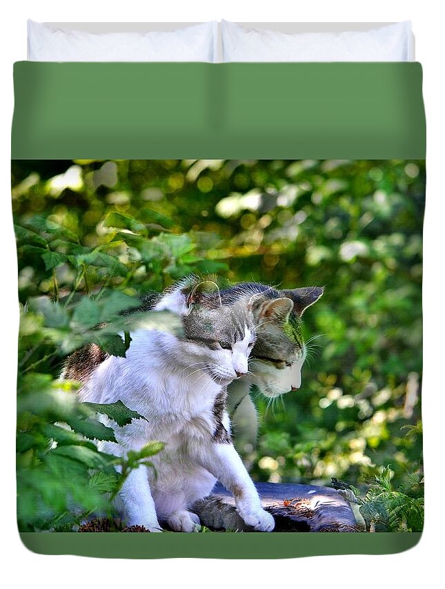 Cat Duvet Cover featuring the photograph Harlequin Cat Twins by Chriss Pagani