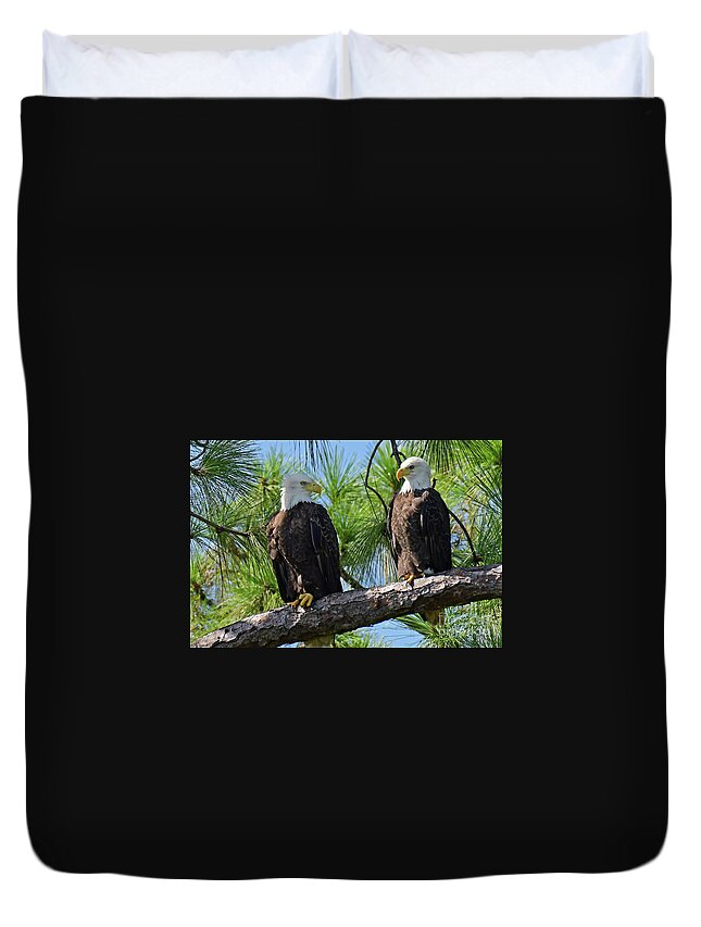 Bald Eagles Duvet Cover featuring the photograph Harriet and M15 love birds by Liz Grindstaff