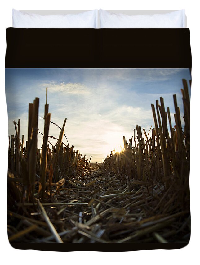Agriculture Duvet Cover featuring the photograph Harvest  by Mike Santis