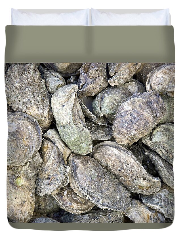 Oysters Duvet Cover featuring the photograph Harvested Oysters by Inga Spence