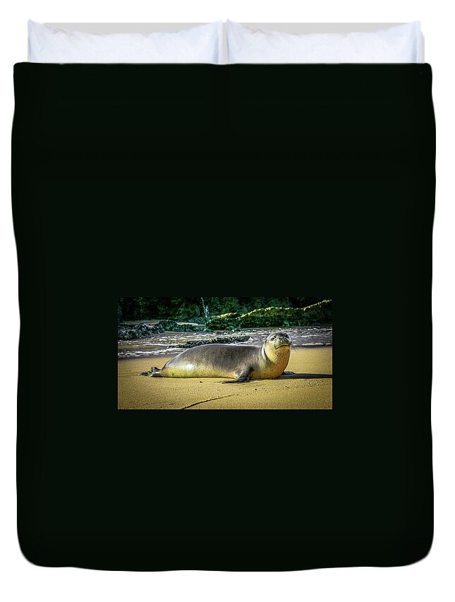 Wildlife Duvet Cover featuring the photograph Hawaii'n Monk Seal by Jason Brooks
