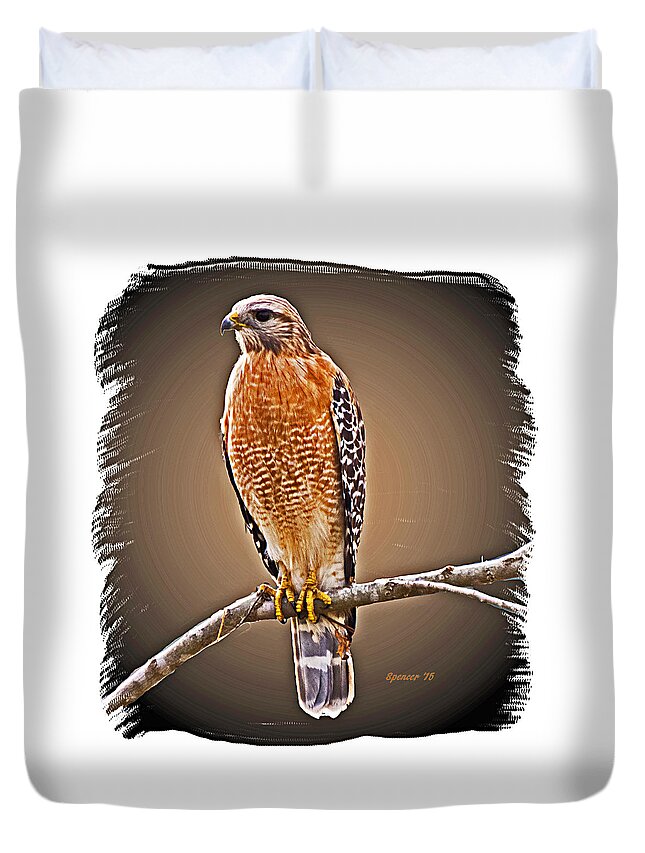 Florida Duvet Cover featuring the photograph Hawk by T Guy Spencer