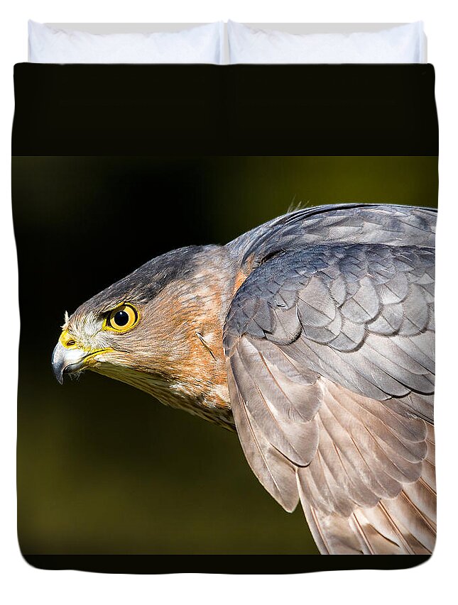 Hawk Duvet Cover featuring the photograph Hawkeye by Jim Miller