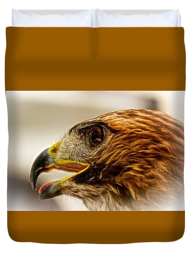 5th Anniversary Duvet Cover featuring the photograph Hawk's Eye by Kathi Isserman