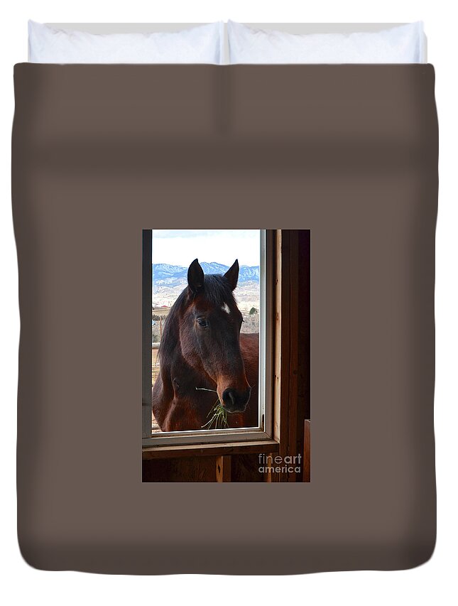Horse Duvet Cover featuring the photograph Hay There by Cindy Schneider