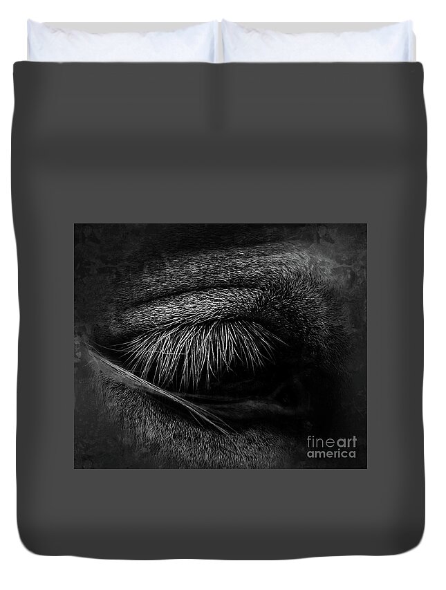 Horse Duvet Cover featuring the photograph HE bw by Toma Caul