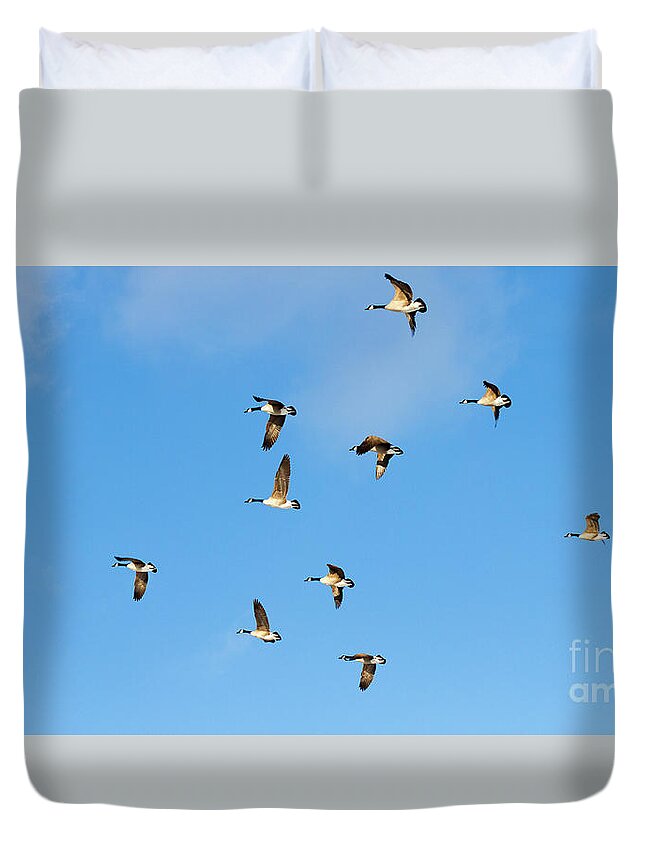 Wildlife Duvet Cover featuring the photograph Headed South by Eleanor Abramson