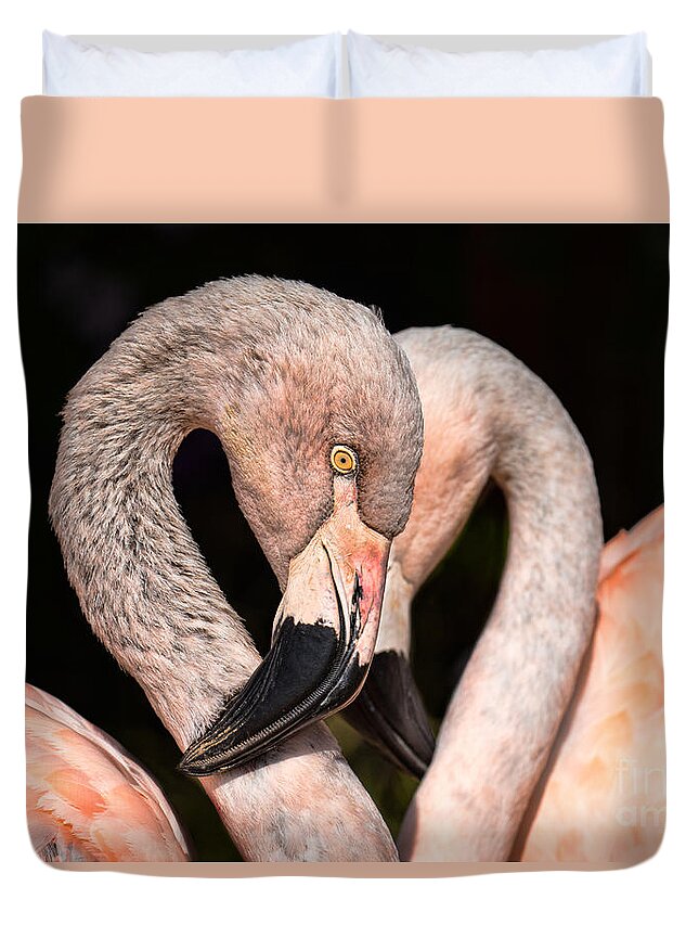 Flamingo Duvet Cover featuring the photograph Heart Flamingos by Mimi Ditchie