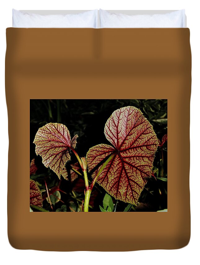 Begonia Duvet Cover featuring the photograph Hearty Begonia Backside by Allen Nice-Webb