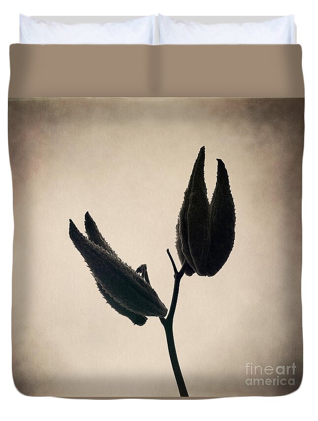 Milkweed Duvet Cover featuring the photograph Held High by RicharD Murphy