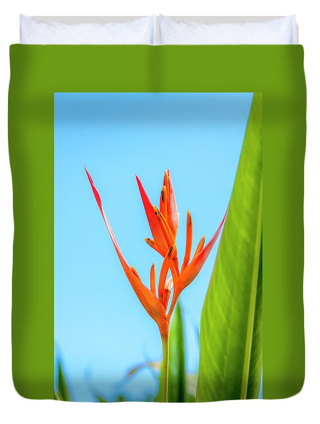 Flowers Duvet Cover featuring the photograph Heliconia Flower by Daniel Murphy