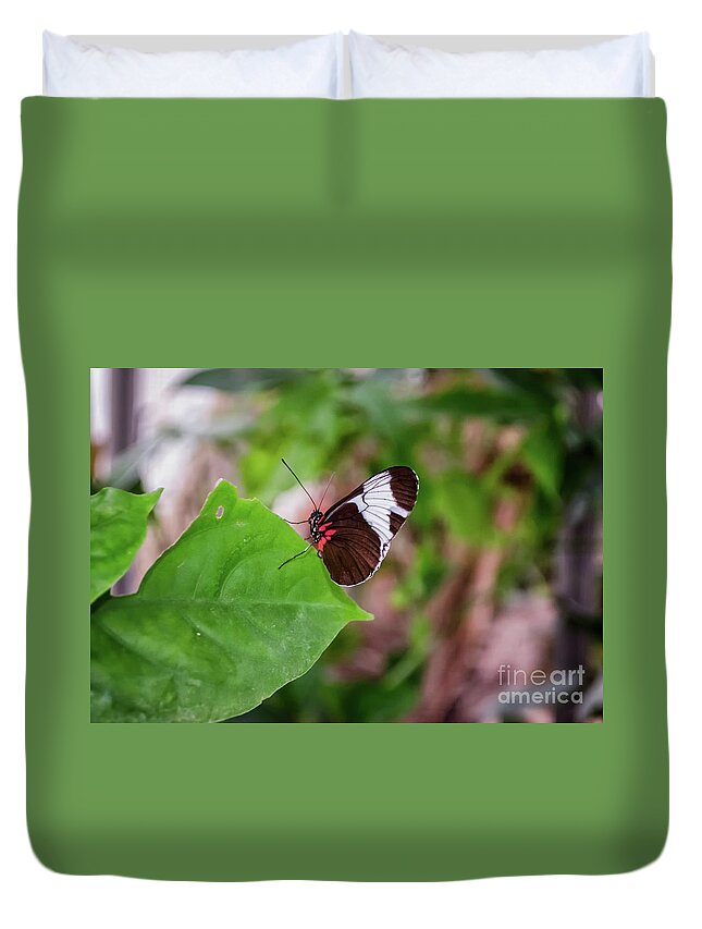 Michelle Meenawong Duvet Cover featuring the photograph Heliconius Erato by Michelle Meenawong