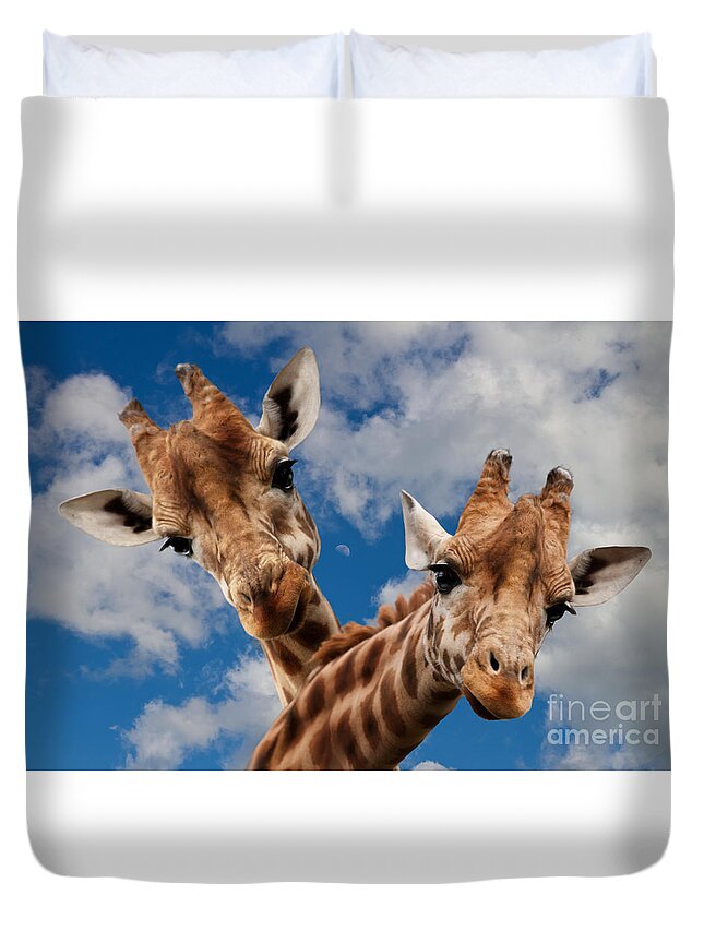 Giraffes Duvet Cover featuring the photograph Hello by Christine Sponchia