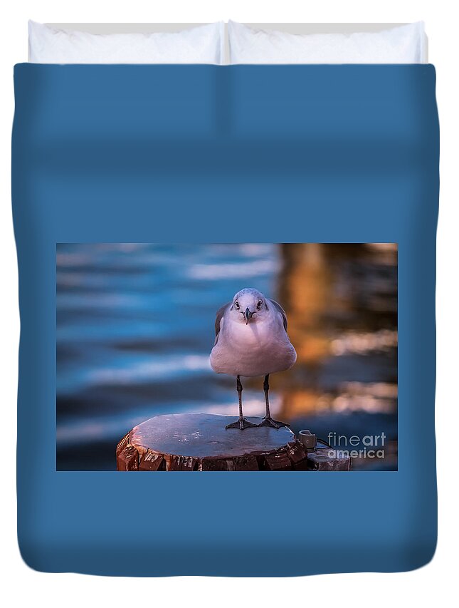 Wildlife Duvet Cover featuring the photograph Hello by Claudia M Photography