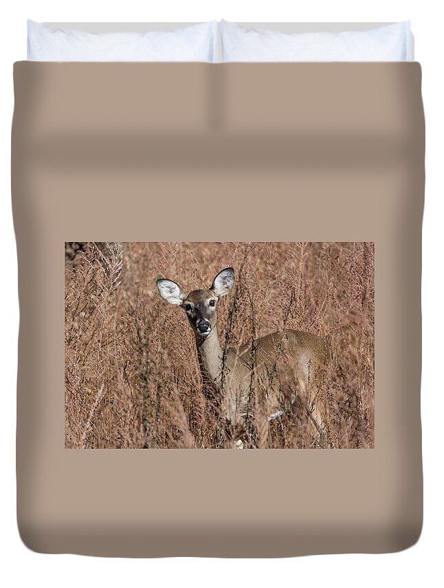 Wildlife Duvet Cover featuring the photograph Hello by John Benedict