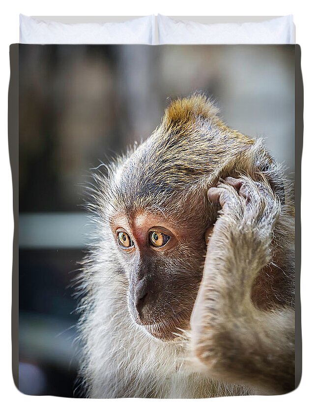 Monkey Duvet Cover featuring the photograph Hello, Monkey Here by Rick Deacon