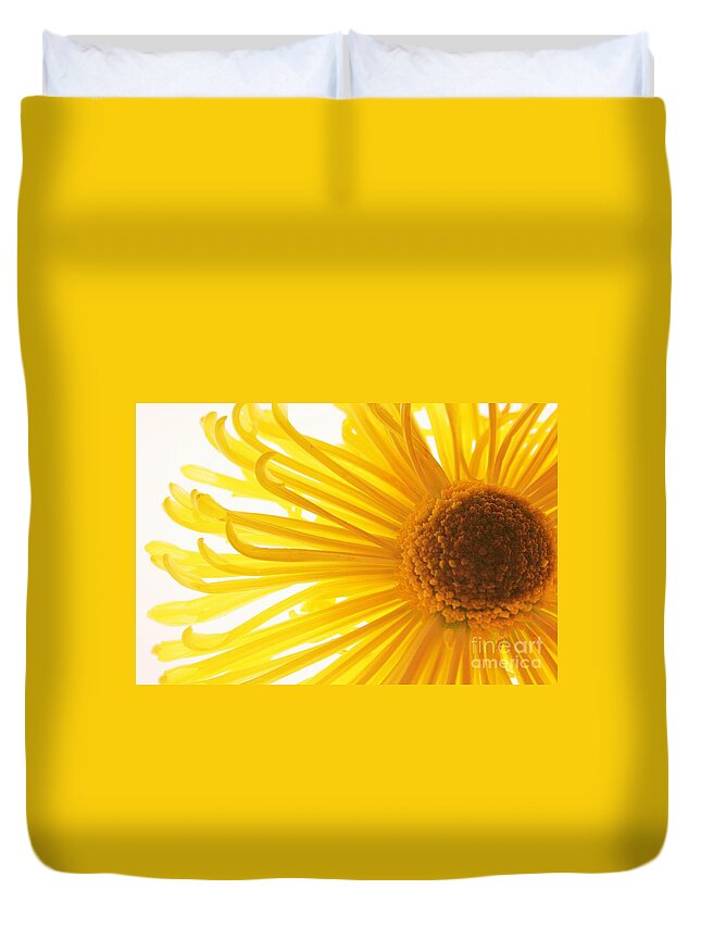 Daisy Duvet Cover featuring the photograph Hello Sunshine by Julie Lueders 