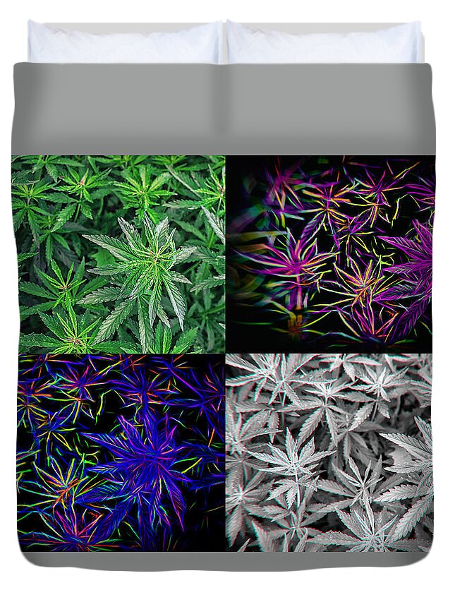 Pot Art Duvet Cover featuring the photograph Hemp Marijuana Pot Plant Wall Art by John Williams