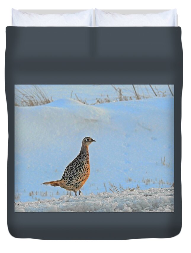 Hen Pheasant Duvet Cover featuring the photograph Hen Pheasant by Kathy M Krause