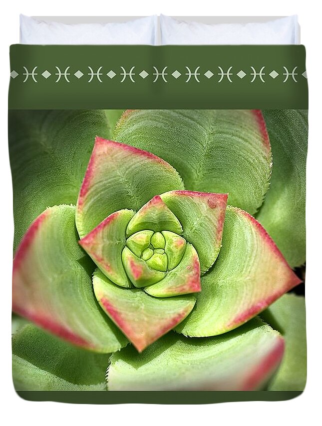 Joy Watson Duvet Cover featuring the photograph Hens And Chicks Succulent And Design by Joy Watson