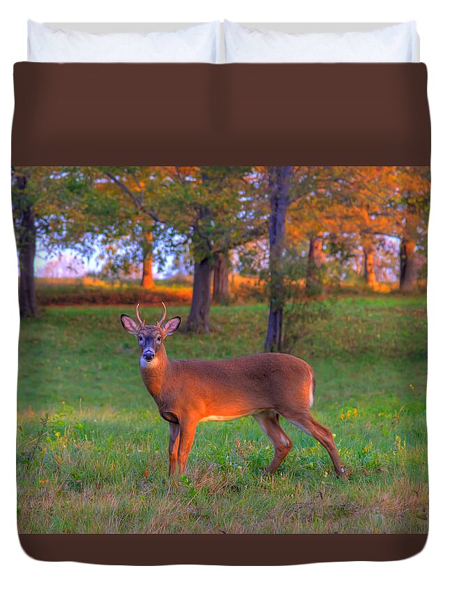  Duvet Cover featuring the photograph Here And Gone by David Henningsen