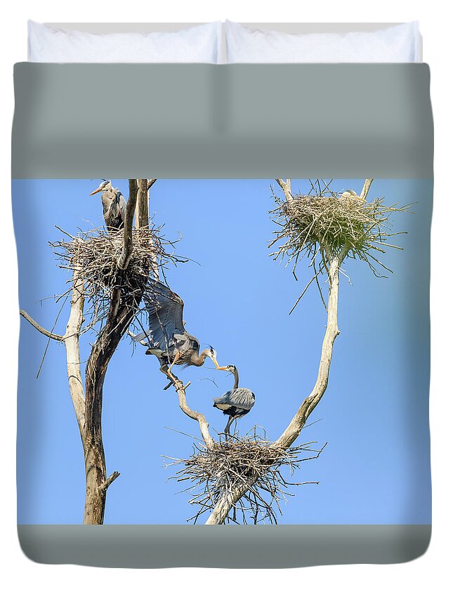 Great Blue Heron Duvet Cover featuring the photograph Heron Courting 3 of 6 The Drop by Joni Eskridge