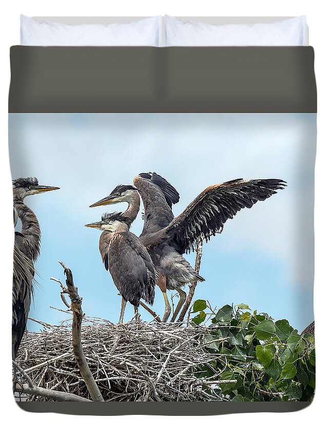 Great Blue Heron Duvet Cover featuring the photograph Heron Mom and the Kids by Stephen Johnson