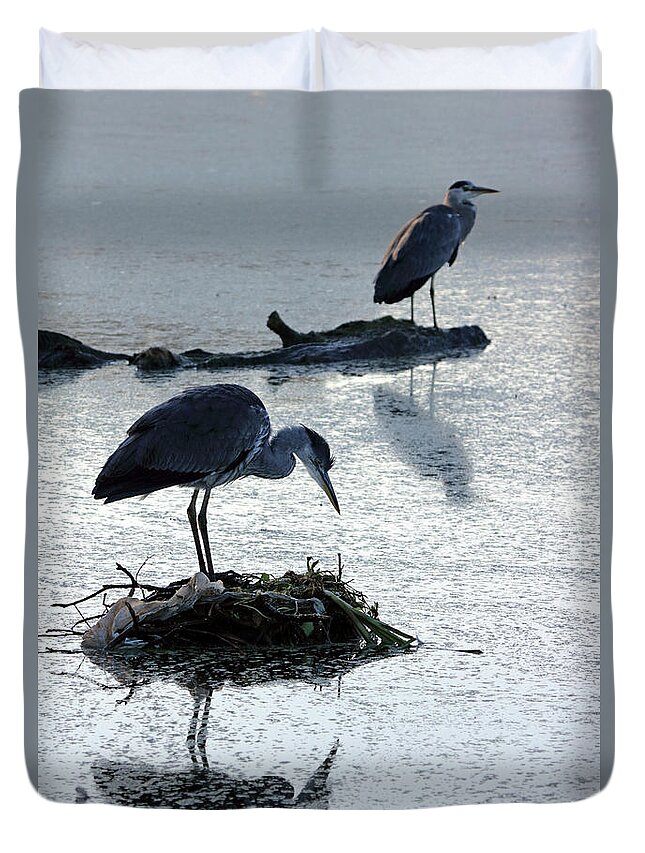  Heron Nest Pair Duvet Cover featuring the photograph Heron on nest by Julia Gavin