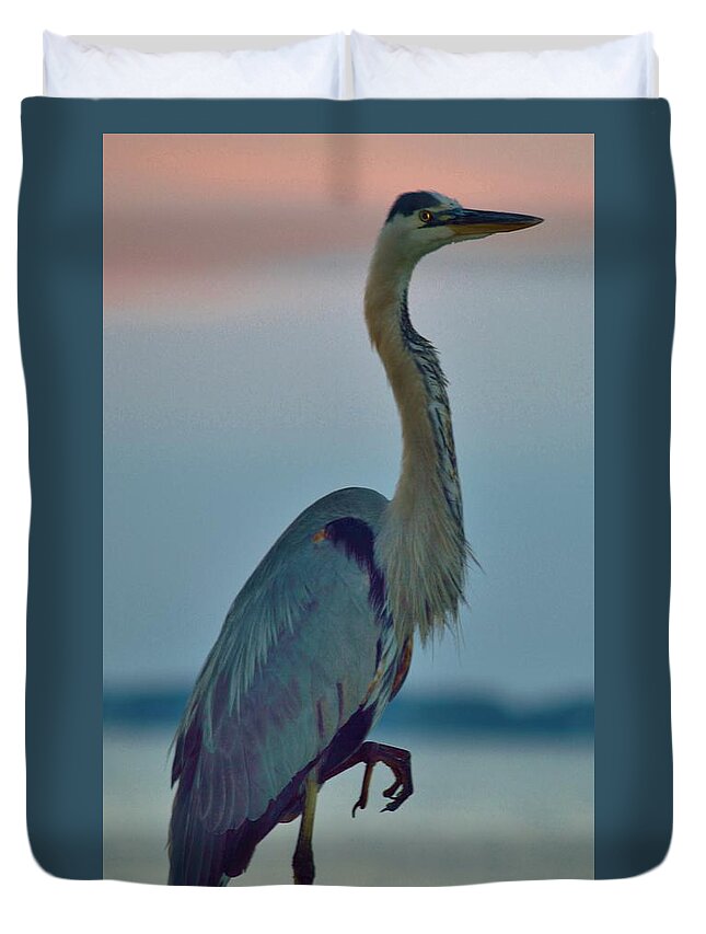Beachbumpics Duvet Cover featuring the photograph Heron Posing 3 by Billy Beck