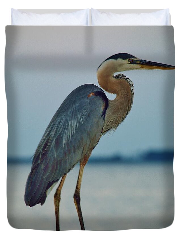 Beachbumpics Duvet Cover featuring the photograph Heron Posing 5 by Billy Beck