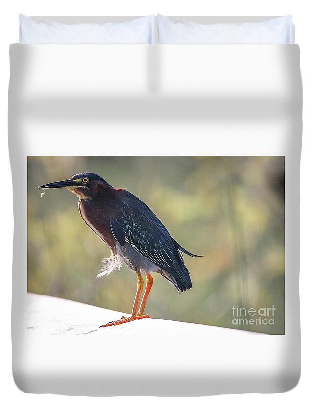 Heron Duvet Cover featuring the photograph Heron with Ruffled Feathers by Tom Claud
